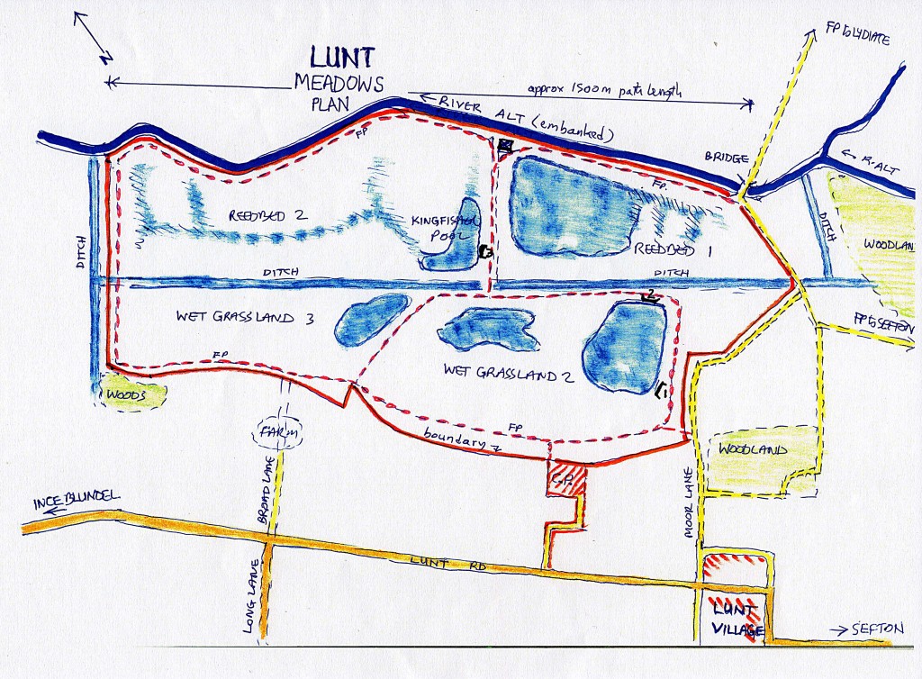 Plan of Lunt Meadows reserve prepared by Peter Hatfield